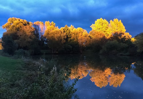 iphoneography water trees sun nature lake reflection fall autumn glow glimpse iphone