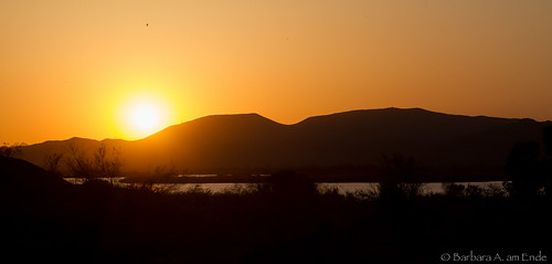 sunset arizona mountains bird water mittrylake
