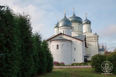 Покровский собор 50