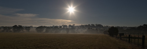 Foggy, sunny morning over Woodlands Homestead 2013-05-23 (IMG_6426)