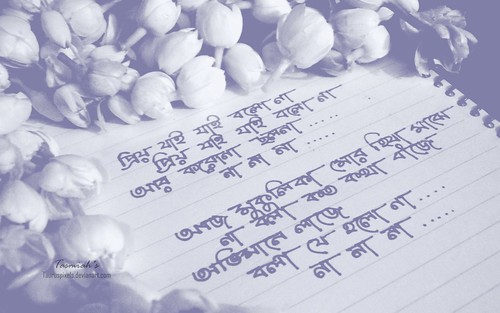 flowers lyrics song beli project52 kazinazrulislam বেলি nazruljayanti বেলিফুল কাজীনজরুলইসলাম