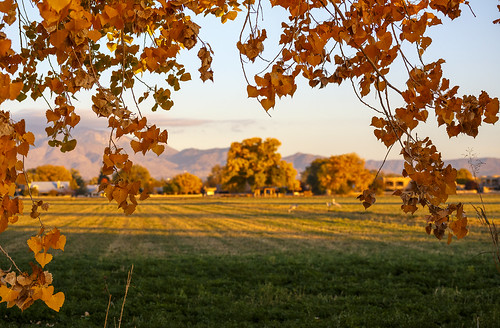 newmexico fall nature landscape farm albuquerque foliage nm sandia lospoblanos grantcondit