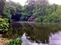 Woodhall Pond
