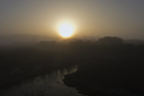 mist heron fog sunrise florida gainesville birdscape alachuatrail
