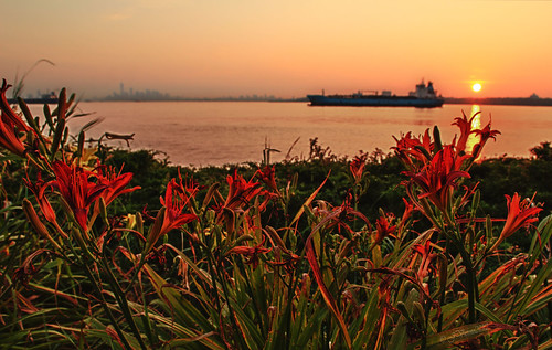 nyc red sun plant ny newyork flower color water sunrise canon bay harbor boat vibrant statenisland hdr sigma1850 60d