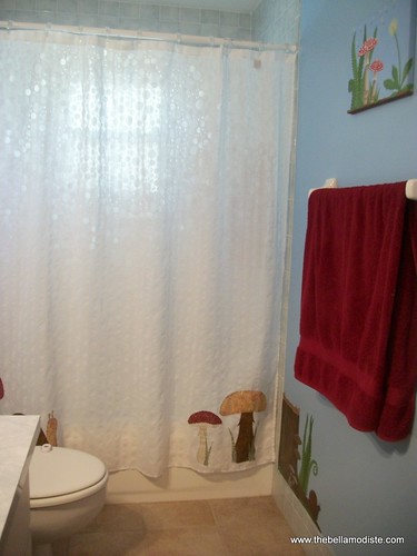 Appliqued Shower Curtain