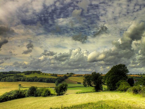 trees sky color green nature landscape perspectives gloucestershire array wyevalley mfcc colorphotoaward ericgoncalves