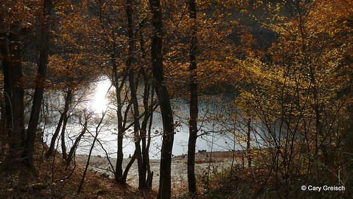 automne lac luxembourg lux forêt lacdelahautesûre liefrange carygreisch poutert