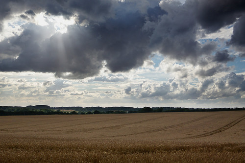 light summer cloud sunlight field countryside country tracks essex wickhambishops