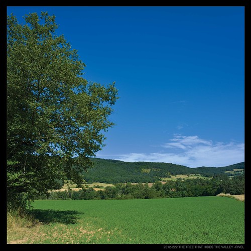 blue trees sky france green nature colors square french landscape nikon couleurs vert bleu ciel arbres 365 carre