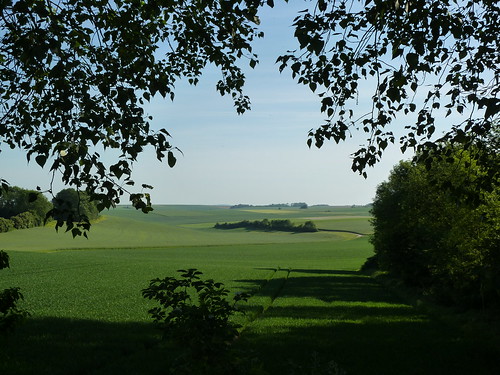 field landscape geotagged countryside leaf paysage campagne champ feuille aisne crécysurserre geo:lat=4971249826810146 geo:lon=3602840735290556