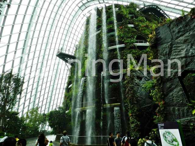 Gardens By The Bay 01