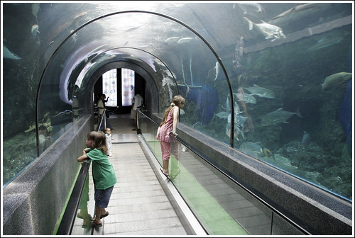 Kids in the tunnel at Phuket Aquarium