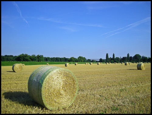 summer germany deutschland nikon sommer grain harvest straw nrw ruhrgebiet korn stroh ernte harvesting ruhrarea ruhrpott mülheim getreide ernten coolpixl12 abudullasaheem ruhrauenweg