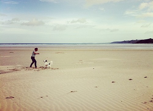 sea summer dog france beach square bretagne squareformat amaro iphoneography instagramapp uploaded:by=instagram foursquare:venue=4c4d91021b8e1b8dab93d125
