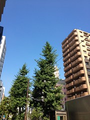 朝散歩 (2012/8/7)