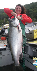 65lb Salmon
