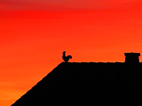 roof sunset chimney silhouette cock crest blinkagain bestofblinkwinners goingtobedearlywiththechickens