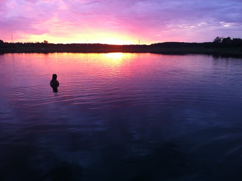 pink sunset lake swimming purple iphone iphone4