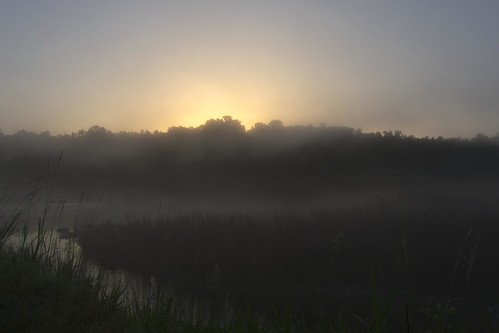 fog sunrise landscape florida gainesville alachuatrail