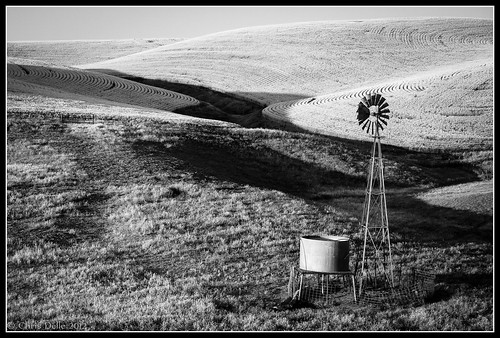 california blackandwhite bw windmill canon landscape unitedstates 7d 2012 dunniganhills
