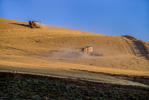oregon unitedstates wheat harvest combine finish goldenhour thedalles thresher winterwheat reaping uscopyrightregistered2012