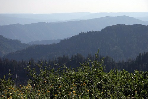 Vista from ridge near Misery Spring
