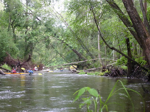 sc unitedstates southcarolina kayaking paddling branchville edistoriver lcu lowcountryunfiltered