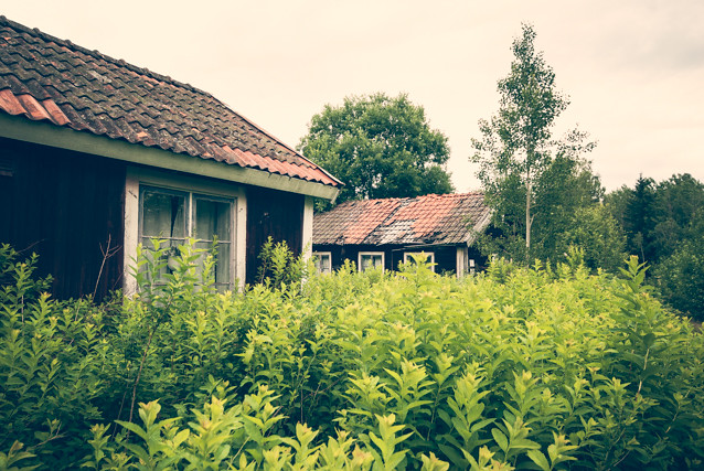 Abandoned summer cottage