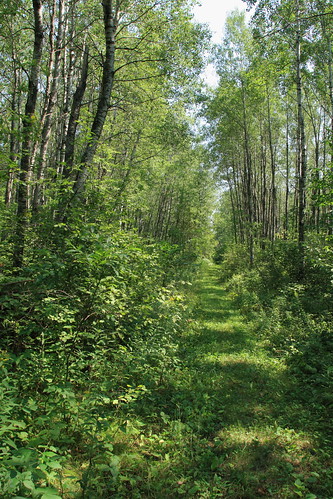 minnesota country north scenic trail national