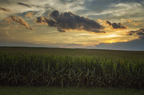bardolph mcdonoughcounty illinois il country countryside corn field sunset evening clouds beautiful august summer landscape scene scenery stevefrazierphotography horizon