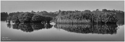 panorama lake seascape water liverpool sunrise canon landscape scenery stitch pano sydney scenic australia panoramic nsw stitching mangroves stitched 1022mm giga nex westernsydney westernsuburbs autopano chippingnorton 1755mmf28 5n 70200mmf40 autopanogiga metabones nex7 nex5n sonynex7 sonynex5n smartadapter