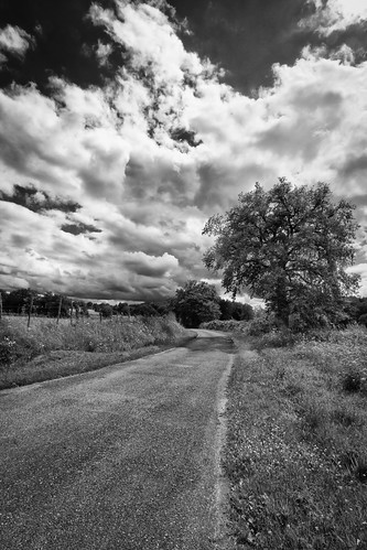 road sky blackandwhite france tree clouds noiretblanc country route ciel nuages campagne arbre limousin chêne efs1022mmf3545usm canoneos7d