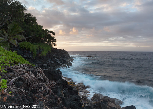 ocean sunrise hawaii waves palmtrees pacificocean bigisland coconutpalm lavarock kehena highsurfadvisory