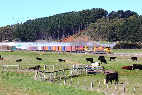 train gm australia tasmania bronco 136 freighttrain emd intermodal goodstrain tasrail containertrain northwesttasmania canoneos550d trainsintasmania stevebromley 2050class