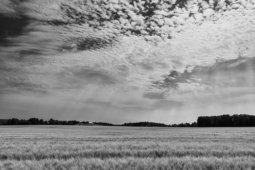 sky field clouds landscape se sweden crop kil blackandwhitephotography värmland