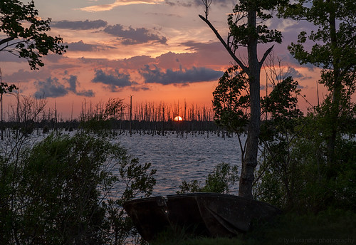 sunset canon louisiana bayou madisonville ef24105mmf4lisusm 5dmarkii gusteisland tyalexanderphotography