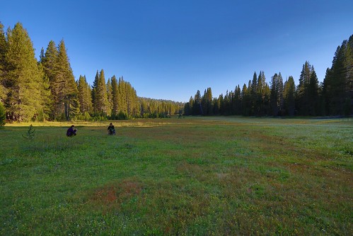 chris flickr carina meadow sierra sierranevada sunsetmeadow wp2012