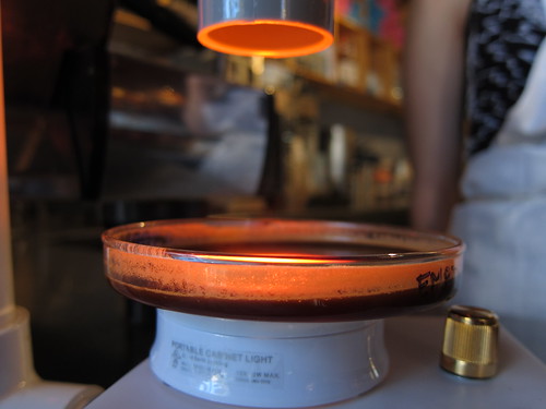 Espresso in the countertop spectrometer at Toscanini's