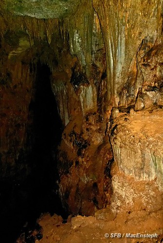 puertorico caves cavernas portorico riocamuy cavernasdelriocamuy