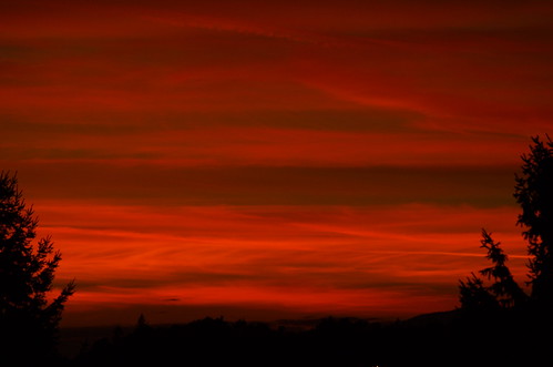 trees sunset red skies silhouettes sunsets redsky beautifulskies allsunsets streakedsunsetskies