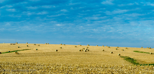 fall minnesota landscape farm kellogg kelloggminnesota photocontesttnc12 2012natureconservancy