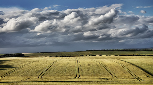 uk england sky field clouds canon landscape explore gb salisbury wiltshire pewsey explored niksoftware 1585mm canon7d canonefs1585mmf3556isusm snapseed