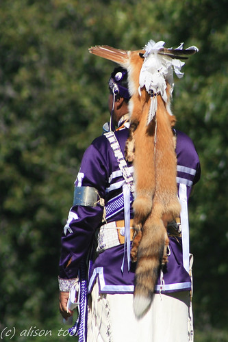 newyork festival costume long view skin indian traditional tail rear feathers longisland nativeamerican fox tribe headdress powwow pelt shinnecock