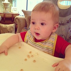 Mesmerized by Cheerios and the TV #babiesofinstagram #DadsTalking