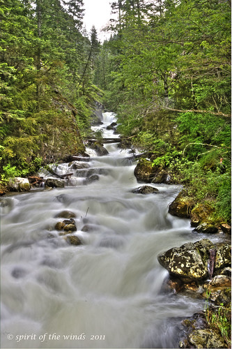idaho streams creeks southforkclearwaterriver