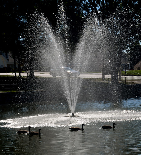 water fountain virginia geese nikon va salem salemva yabbadabbadoo lakespringpark d5100 nikond5100