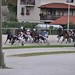 Kasaške dirke v Komendi 18.09.2016 Tretja dirka