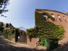 Fisheye view of the old market