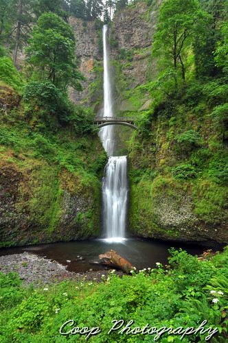 county morning flowers summer oregon creek river photography waterfall nikon long exposure or famous 14 july columbia falls gorge coop wildflowers multnomah 2012 d90